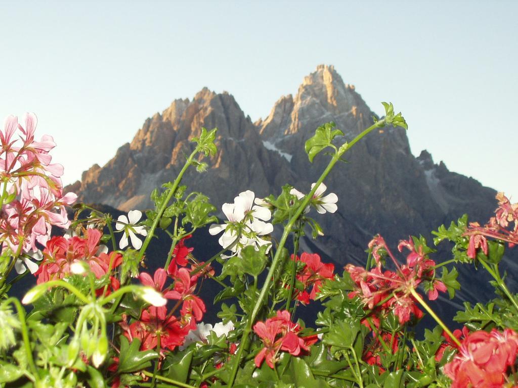 Galler Am Berg San Candido Pokoj fotografie